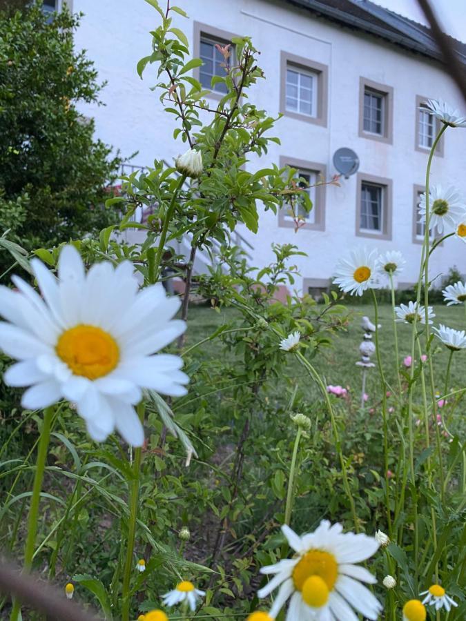 Апартаменти An Der Walnuss Feilsdorf Екстер'єр фото